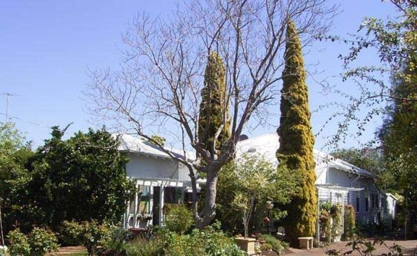 Jacaranda Guest House Басселтон Екстер'єр фото