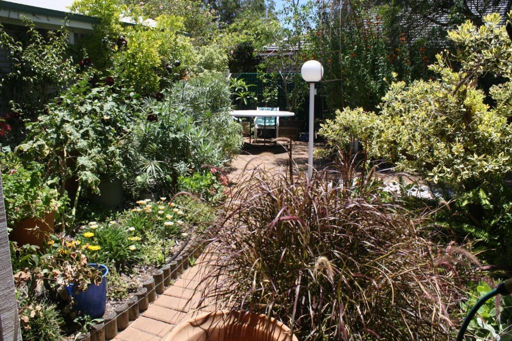 Jacaranda Guest House Басселтон Екстер'єр фото