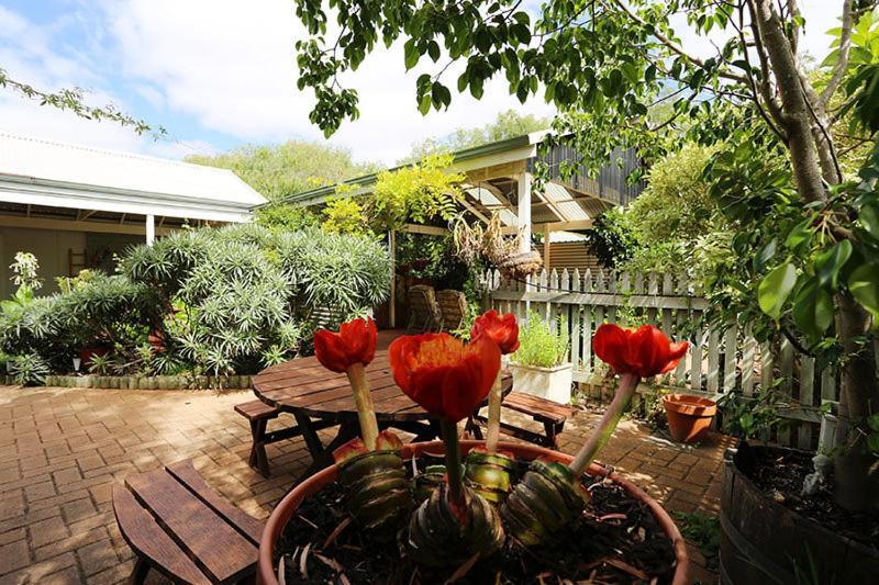 Jacaranda Guest House Басселтон Екстер'єр фото